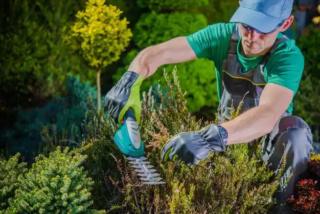 landscaping services Quogue
